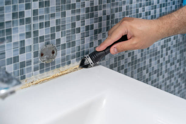 Best Home Mold Removal  in Beaverton, OR