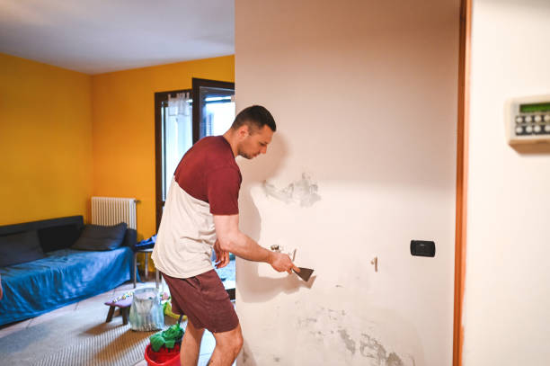 Best Emergency Mold Removal  in Beaverton, OR