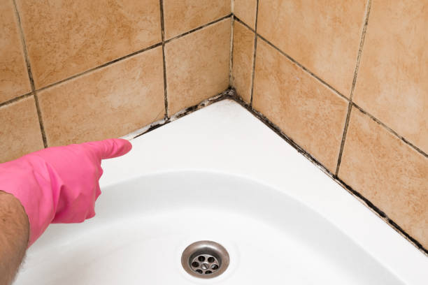 Professional Mold Removal in Beaverton, OR